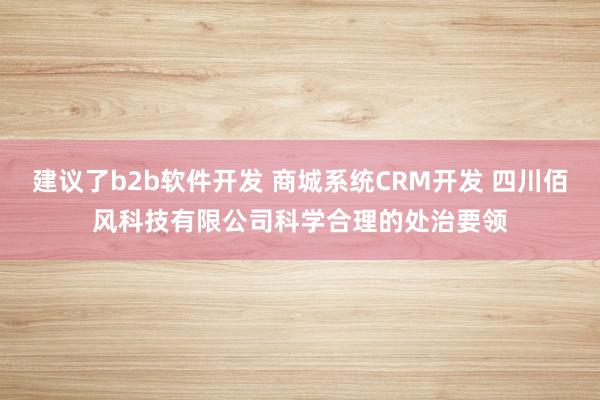 建议了b2b软件开发 商城系统CRM开发 四川佰风科技有限公司科学合理的处治要领