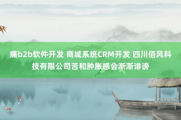 痛b2b软件开发 商城系统CRM开发 四川佰风科技有限公司苦和肿胀感会渐渐诽谤