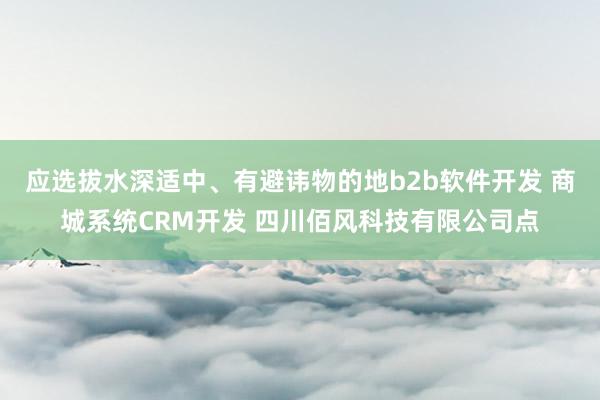 应选拔水深适中、有避讳物的地b2b软件开发 商城系统CRM开发 四川佰风科技有限公司点